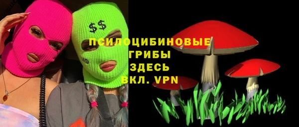 эйфоретик Богданович