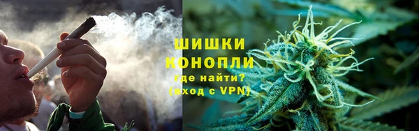 ГАЛЛЮЦИНОГЕННЫЕ ГРИБЫ Бородино