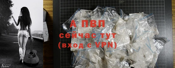 ГАЛЛЮЦИНОГЕННЫЕ ГРИБЫ Бородино
