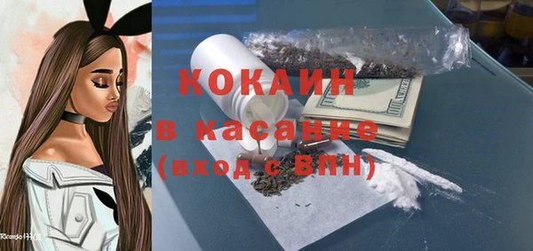 прущие грибы Бронницы