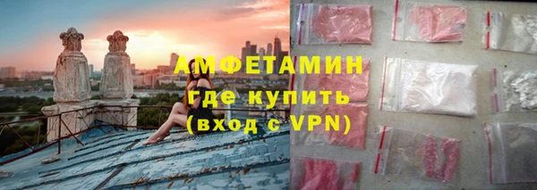 прущие грибы Бронницы