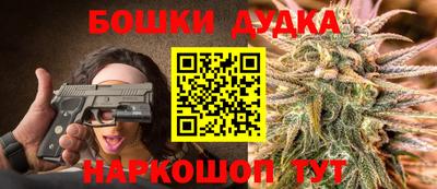 индика Бийск