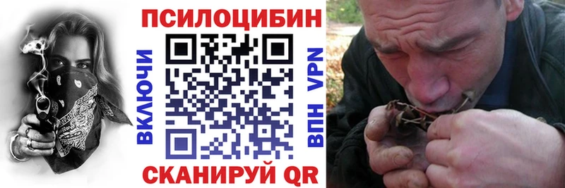 дарнет шоп  Бутурлиновка  Галлюциногенные грибы Psilocybine cubensis 
