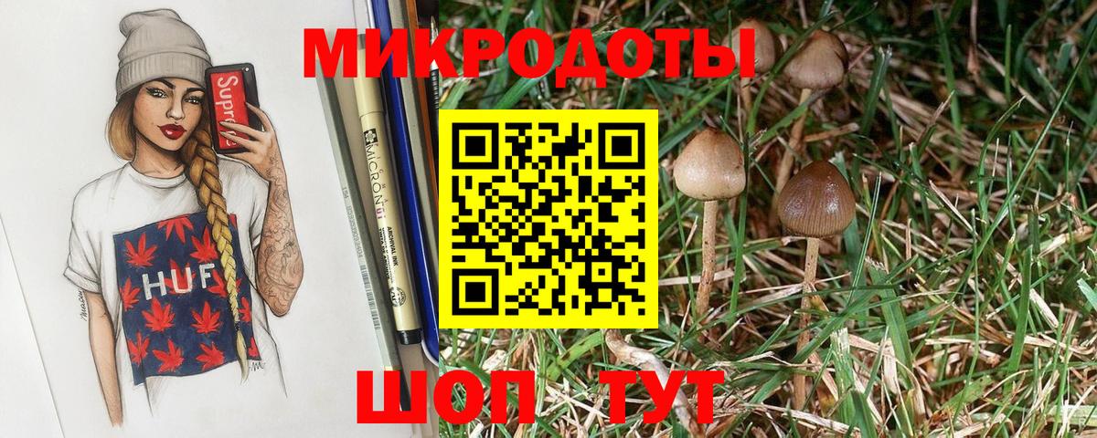 Псилоцибиновые грибы Psilocybine cubensis  Вход с VPN  Бутурлиновка  Галлюциногенные грибы мухоморы 
